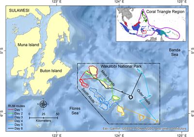 Using Cost-Effective Surveys From Platforms of Opportunity to Assess Cetacean Occurrence Patterns for Marine Park Management in the Heart of the Coral Triangle